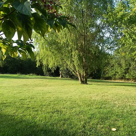 Bed & Breakfast D'hotes Belair 3*